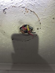 Ceiling light wiring checked as part of tracing the switch line fault